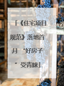 《住宅项目规范》落地首月 “好房子”受青睐