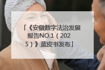 《安徽数字法治发展报告NO.1（2025）》蓝皮书发布