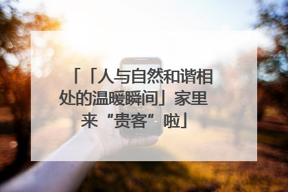 「人与自然和谐相处的温暖瞬间」家里来“贵客”啦
