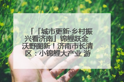 「城市更新·乡村振兴看济南」锦鲤跃金 沃野图新！济南市长清区：小锦鲤大产业 游出农旅新风景