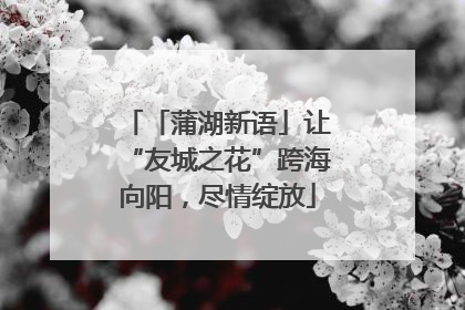 「蒲湖新语」让“友城之花”跨海向阳，尽情绽放