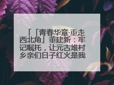 「青春华章·重走西北角」董建新：牢记嘱托，让元古堆村乡亲们日子红火是我最大动力！