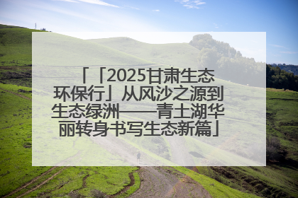 「2025甘肃生态环保行」从风沙之源到生态绿洲——青土湖华丽转身书写生态新篇