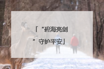 “碧海亮剑”守护平安