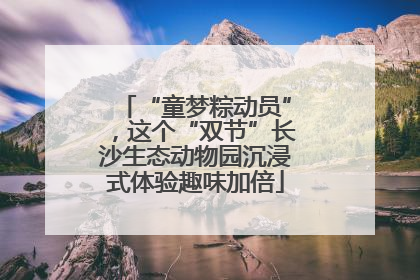 “童梦粽动员”，这个“双节”长沙生态动物园沉浸式体验趣味加倍