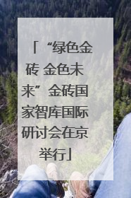 “绿色金砖 金色未来”金砖国家智库国际研讨会在京举行