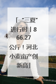 “三夏”进行时丨866.27公斤！河北小麦亩产创新高