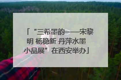 “三希墨韵——宋黎明 杨稳新 丹萍水墨小品展”在西安举办