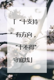 “十支持”有方向，“十不得”守底线