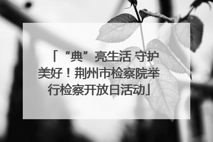 “典”亮生活 守护美好！荆州市检察院举行检察开放日活动