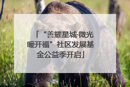 “善耀星城·微光暖开福”社区发展基金公益季开启