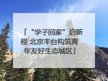 “学子回家”启新程 北京丰台构筑青年友好生态城区