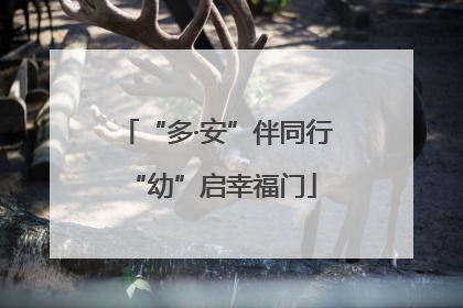 “多·安”伴同行 “幼”启幸福门