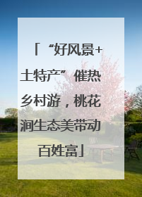 “好风景+土特产”催热乡村游，桃花涧生态美带动百姓富