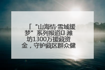 “山海情·雪域援梦”系列报道⑪ 潍坊1300万援藏资金，守护藏区群众健康“最后一公里”