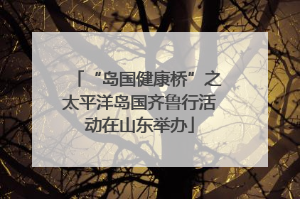 “岛国健康桥”之太平洋岛国齐鲁行活动在山东举办