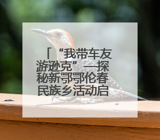 “我带车友游逊克”—探秘新鄂鄂伦春民族乡活动启动