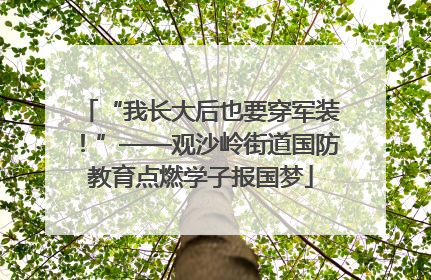 “我长大后也要穿军装！”——观沙岭街道国防教育点燃学子报国梦