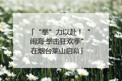 “拳”力以赴！“闹海·拳击狂欢季”在烟台莱山启幕