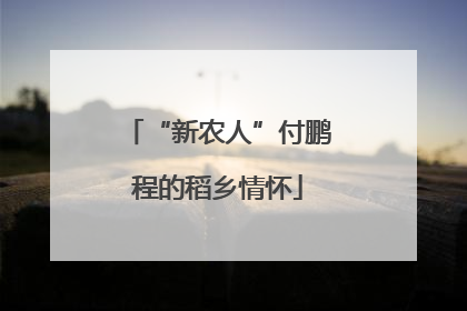 “新农人”付鹏程的稻乡情怀