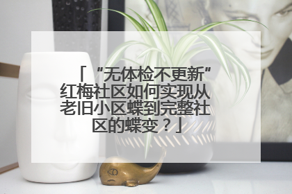 “无体检不更新”红梅社区如何实现从老旧小区蝶到完整社区的蝶变？