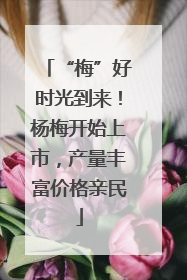 “梅”好时光到来！杨梅开始上市，产量丰富价格亲民