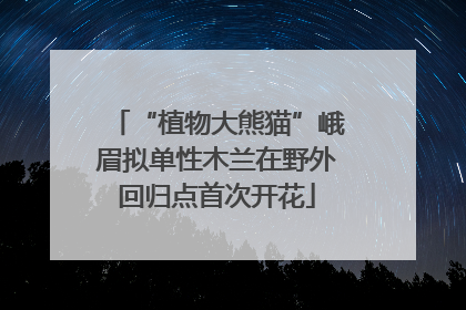 “植物大熊猫”峨眉拟单性木兰在野外回归点首次开花