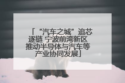 “汽车之城”追芯逐链 宁波前湾新区推动半导体与汽车等产业协同发展