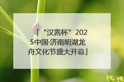 “汉酱杯”2025中国·济南明湖龙舟文化节盛大开幕
