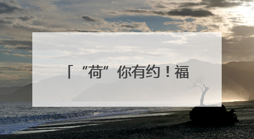 “荷”你有约！福州连江夏日“顶流”等你来打卡→