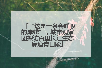 “这是一条会呼吸的岸线”，城市观察团探访百里长江生态廊道青山段