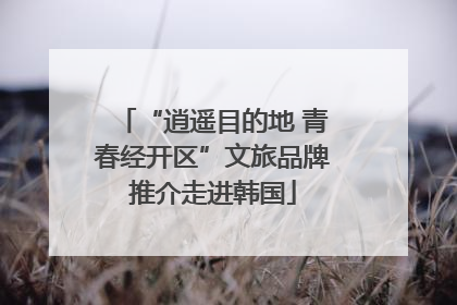 “逍遥目的地 青春经开区”文旅品牌推介走进韩国