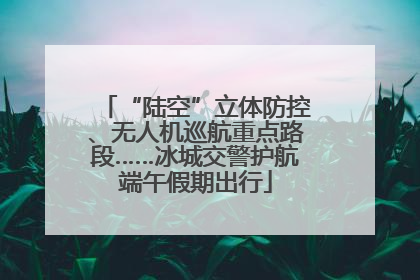 “陆空”立体防控、无人机巡航重点路段……冰城交警护航端午假期出行
