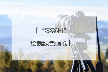 “零碳村” 绘就绿色画卷