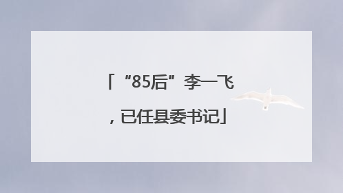 “85后”李一飞，已任县委书记
