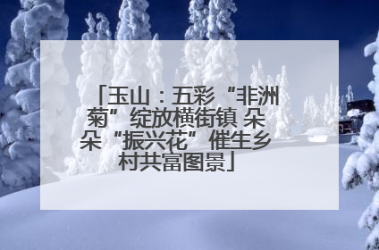 玉山：五彩“非洲菊”绽放横街镇 朵朵“振兴花”催生乡村共富图景