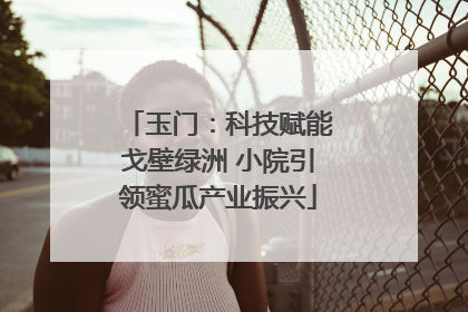 玉门：科技赋能戈壁绿洲 小院引领蜜瓜产业振兴