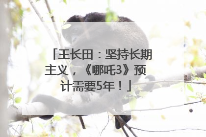 王长田：坚持长期主义，《哪吒3》预计需要5年！