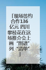 现场签约合作136亿元 四川攀枝花在这场推介会上画“图谱”列“清单”