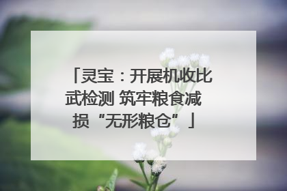 灵宝：开展机收比武检测 筑牢粮食减损“无形粮仓”