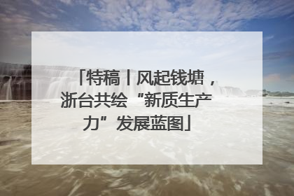 特稿丨风起钱塘，浙台共绘“新质生产力”发展蓝图