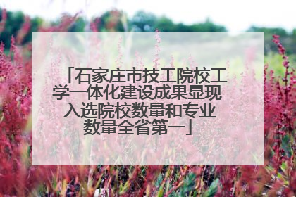 石家庄市技工院校工学一体化建设成果显现 入选院校数量和专业数量全省第一
