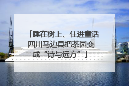 睡在树上、住进童话 四川马边县把茶园变成“诗与远方”