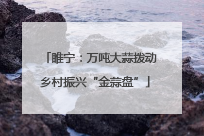 睢宁：万吨大蒜拨动乡村振兴“金蒜盘”
