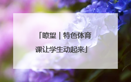 瞭望｜特色体育课让学生动起来