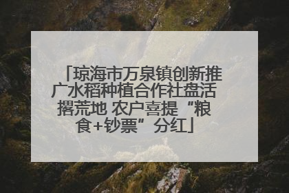琼海市万泉镇创新推广水稻种植合作社盘活撂荒地 农户喜提“粮食+钞票”分红