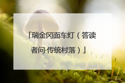 瑞金冈面车灯（答读者问·传统村落）