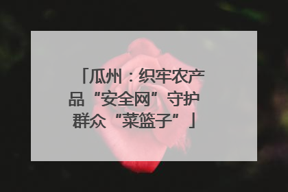 瓜州：织牢农产品“安全网”守护群众“菜篮子”