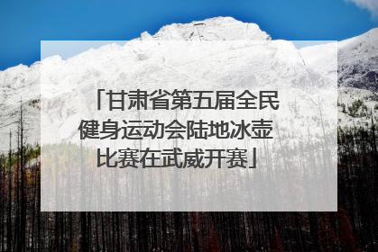 甘肃省第五届全民健身运动会陆地冰壶比赛在武威开赛