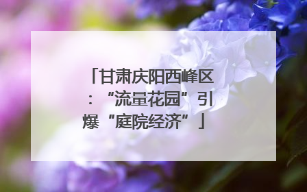 甘肃庆阳西峰区：“流量花园”引爆“庭院经济”